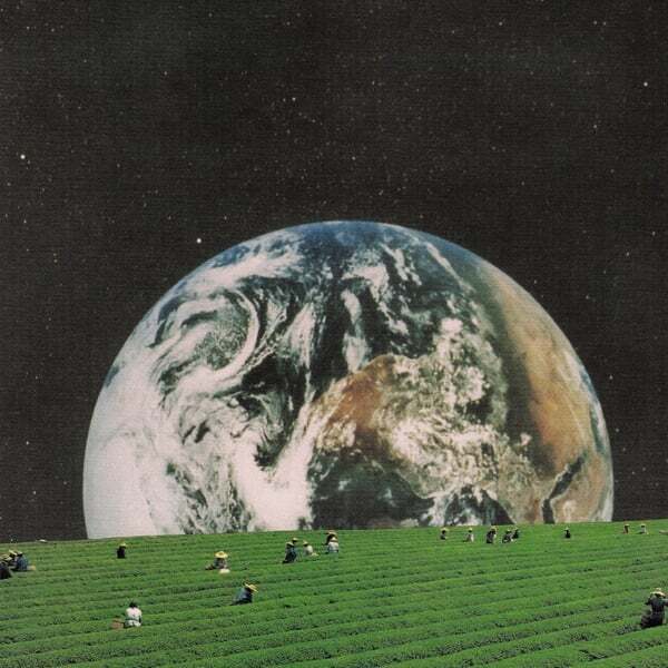 Cover art for Beat a Dead Horse